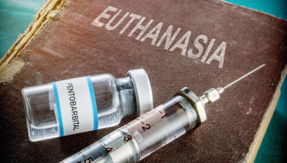 5000 шагов в день могут замедлить развитие болезни Альцгеймера