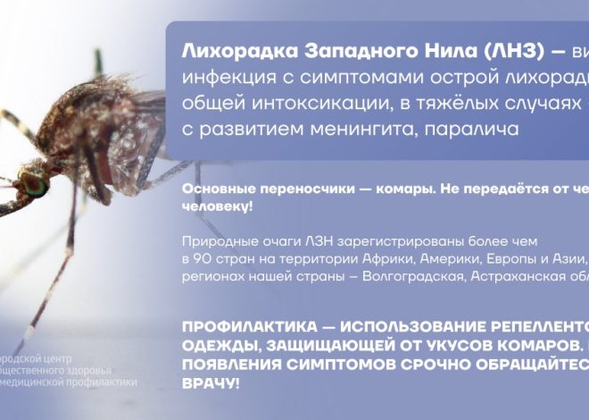 Тепловой удар развивается при критическом перегреве организма в летний период
