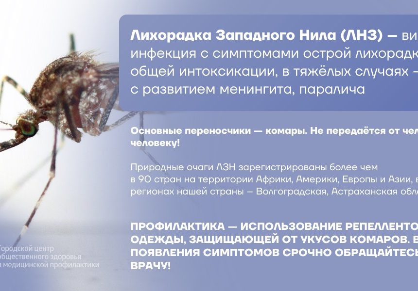 Тепловой удар развивается при критическом перегреве организма в летний период