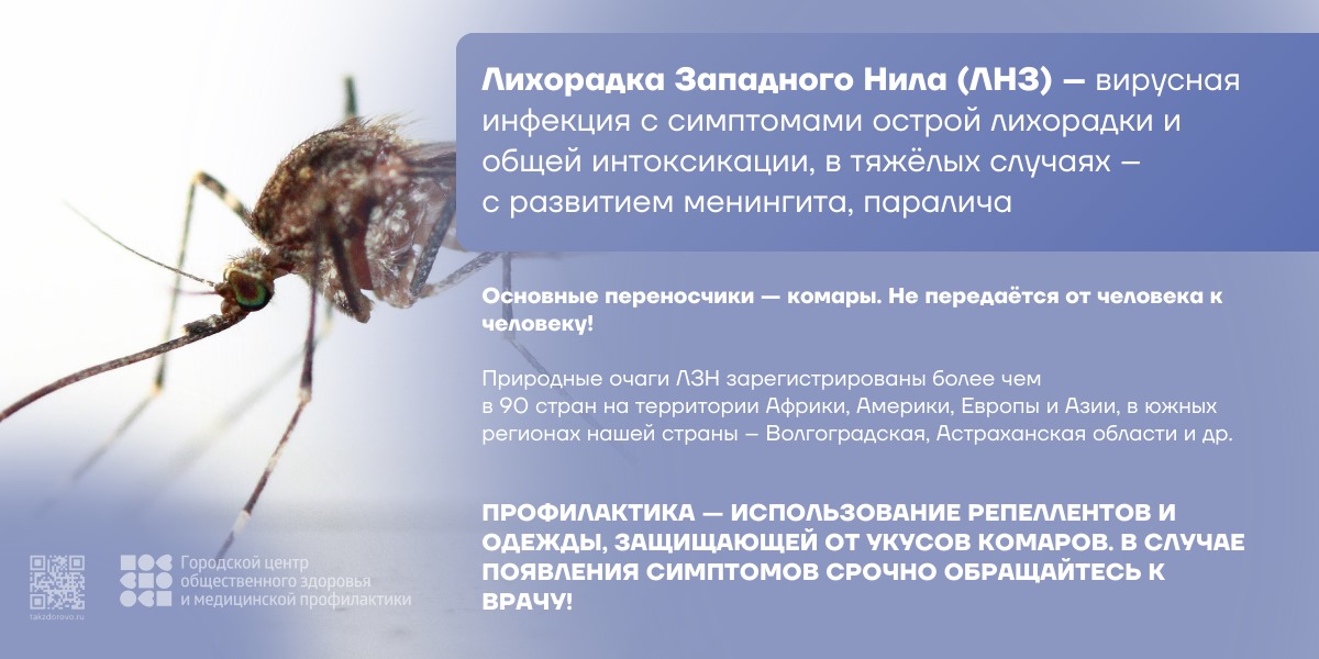 Тепловой удар развивается при критическом перегреве организма в летний период
