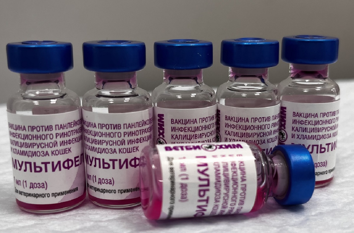 Гибель кошки после вакцины «Мультифел» — связь с препаратом не установлена