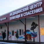 В Шелеховской районной больнице приостановили приём из-за карантина