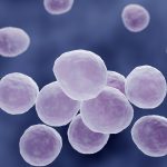 Микоплазменную пневмонию чаще выявляют у детей старше 5 лет и молодых людей
